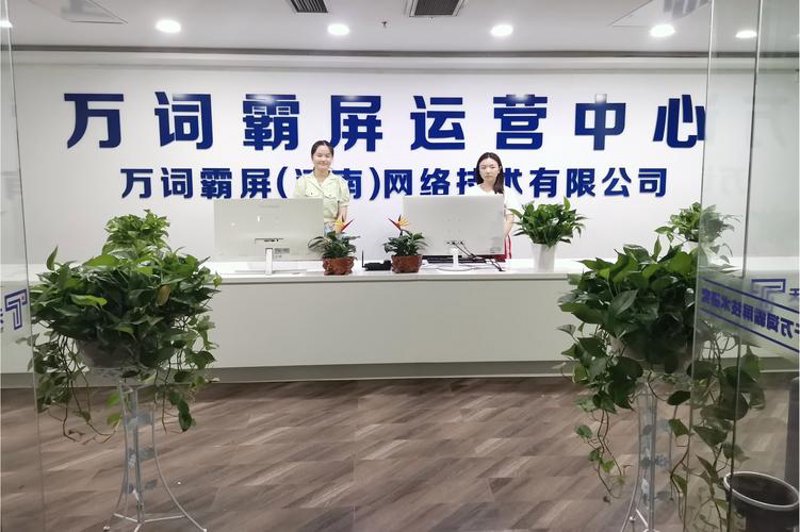 上海网络科技公司的创新之路：新时代的技术变革者